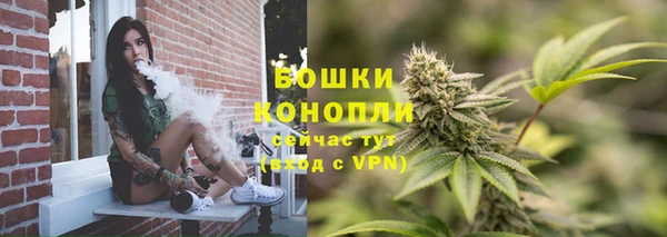 стаф Ладушкин