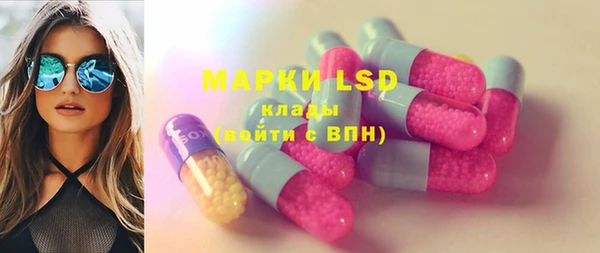 стаф Ладушкин