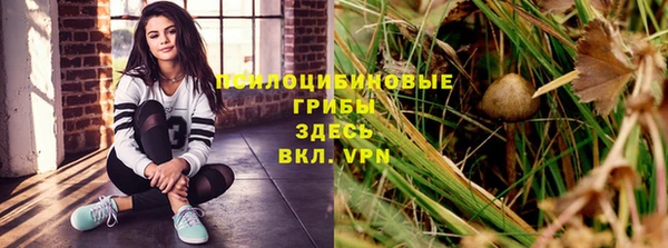 прущая мука Лагань