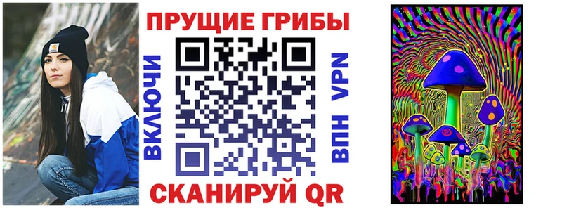 Галлюциногенные грибы Magic Shrooms  где найти   Братск 
